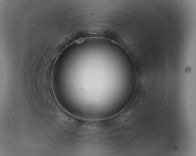 X0000112060817200908041212