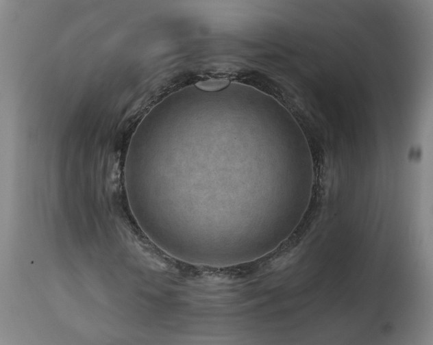 X0000112060818200908041212