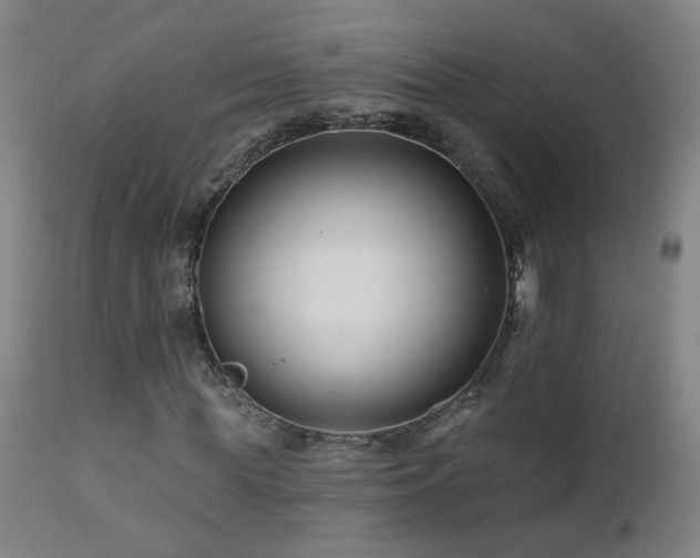 X0000112060819200908041212