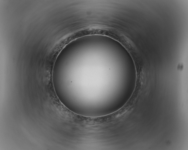 X0000112060821200908041212