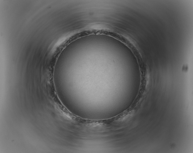 X0000112060823200908041212