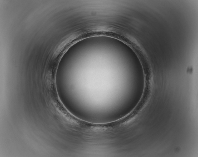 X0000112060825200908041212