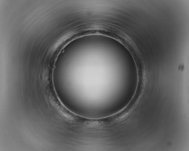 X0000112060826200908041212