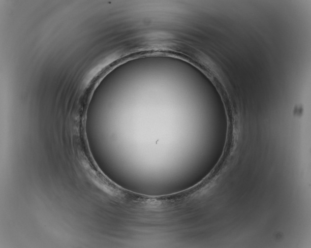 X0000112060827200908041212