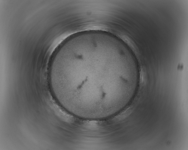 X0000112060828200908041212