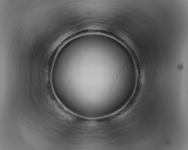 X0000112060829200908041212