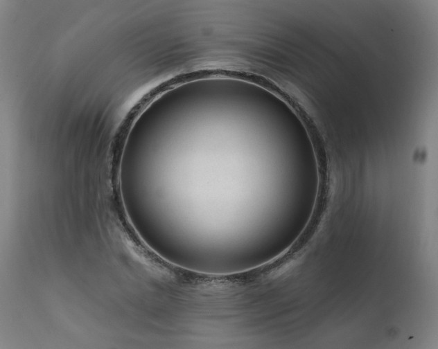 X0000112060830200908041212