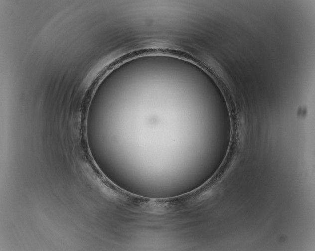 X0000112060831200908041213