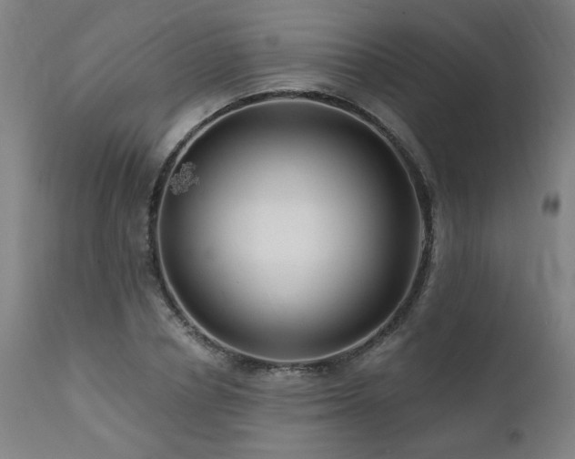 X0000112060834200908041213