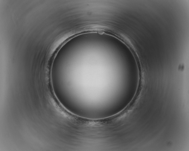 X0000112060835200908041213