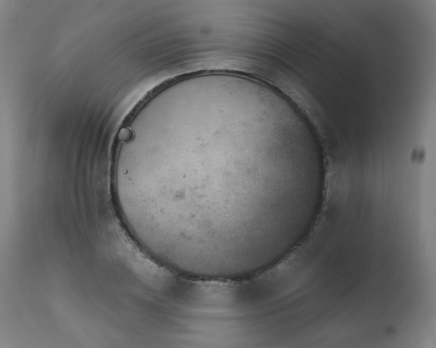 X0000112060836200908041213