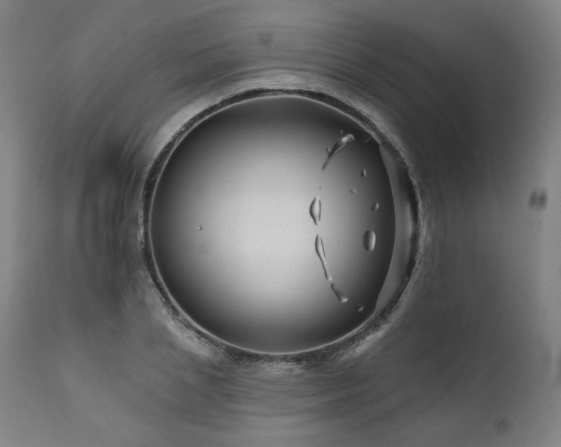 X0000112060837200908041213