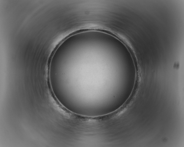 X0000112060839200908041213