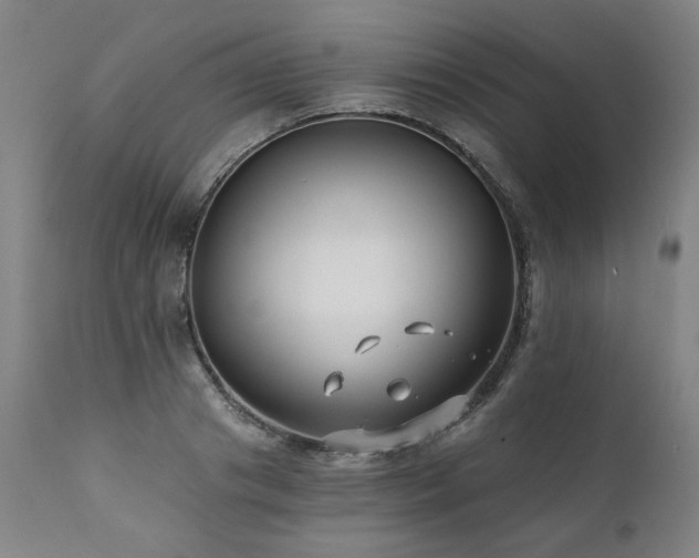 X0000112060841200908041213