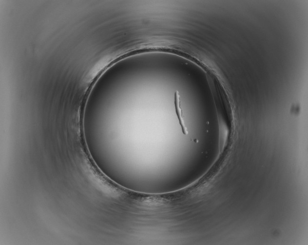 X0000112060842200908041213