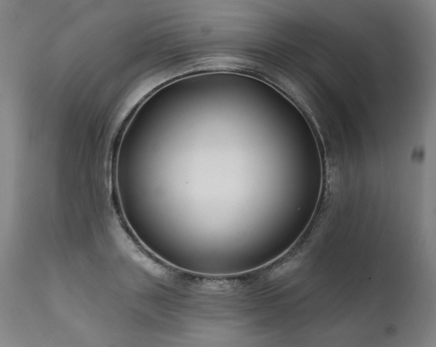 X0000112060843200908041213