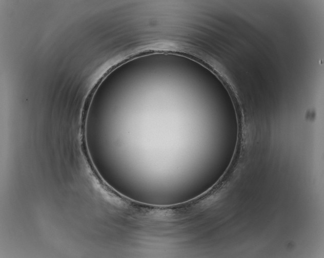 X0000112060845200908041213