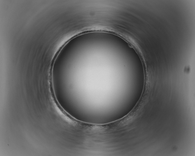 X0000112060847200908041213
