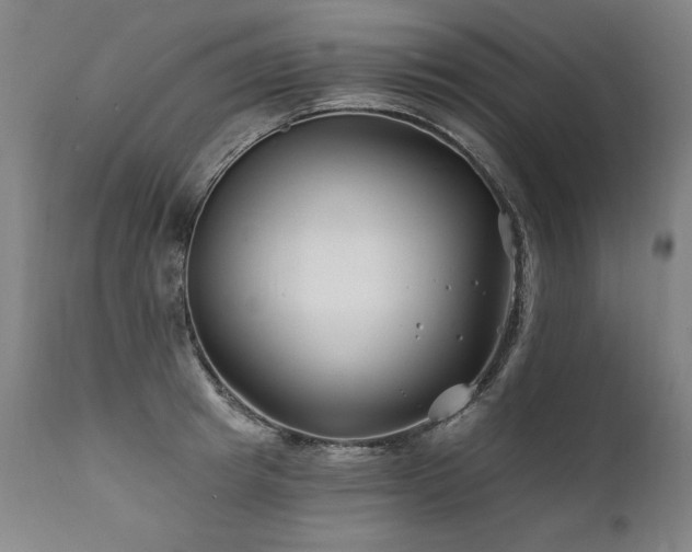 X0000112060849200908041213