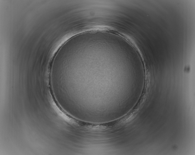 X0000112060851200908041213