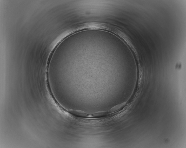 X0000112060853200908041213