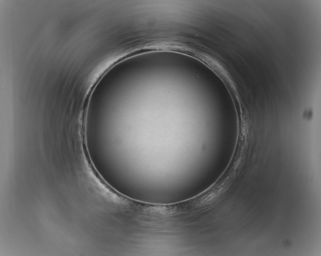 X0000112060855200908041213
