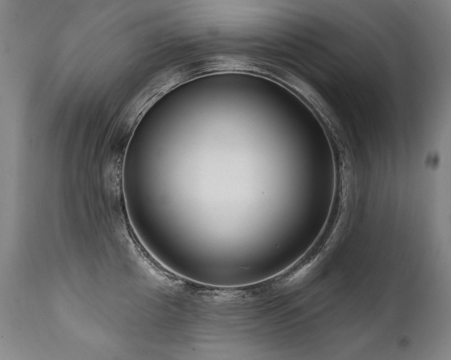 X0000112060857200908041213