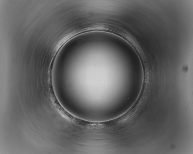 X0000112060858200908041213