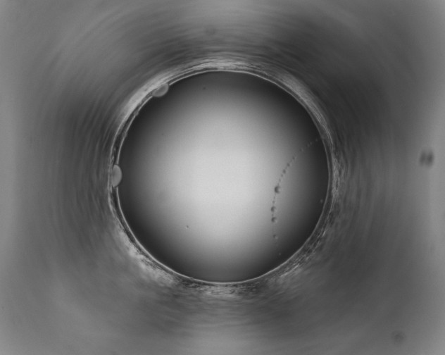X0000112060861200908041213