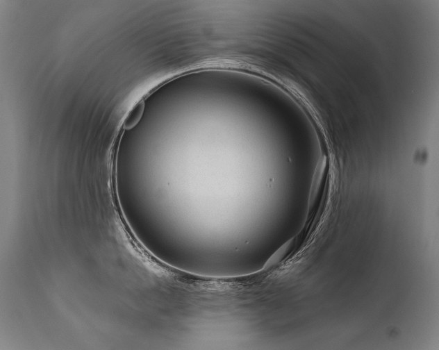 X0000112060862200908041213