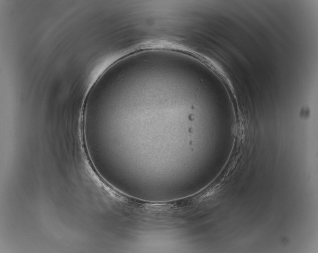 X0000112060863200908041213
