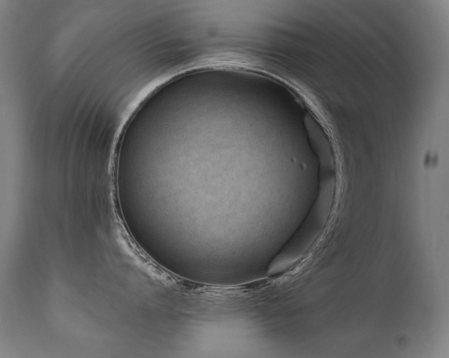X0000112060864200908041213