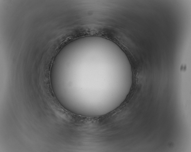 X0000112060865200908041212