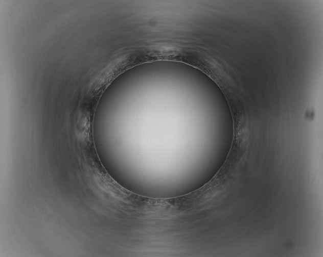 X0000112060866200908041212