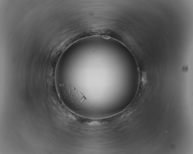 X0000112060867200908041212