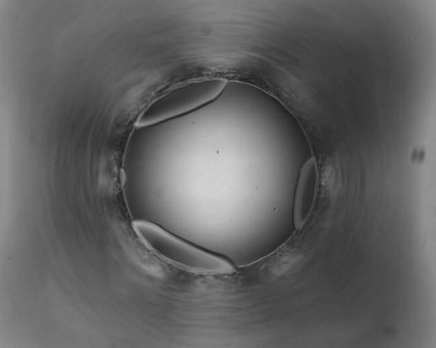 X0000112060868200908041212