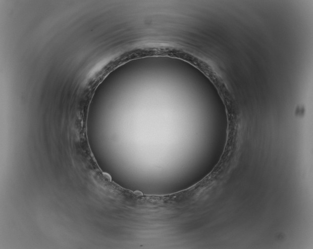 X0000112060871200908041212