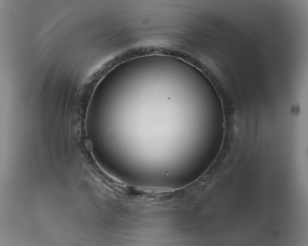X0000112060872200908041212