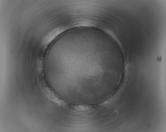 X0000112060874200908041212