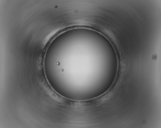 X0000112060875200908041212