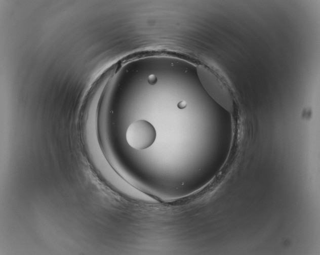 X0000112060876200908041212