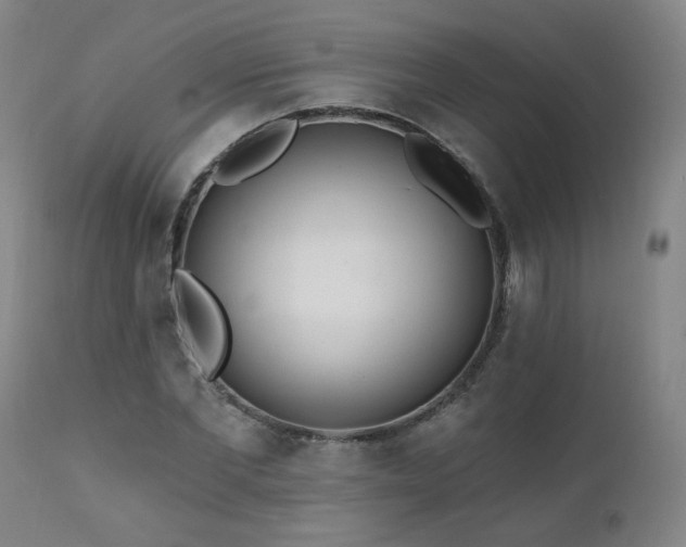 X0000112060877200908041212