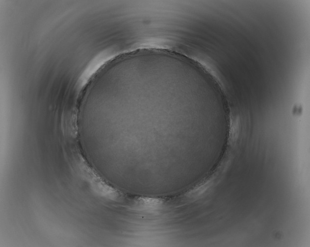 X0000112060878200908041212