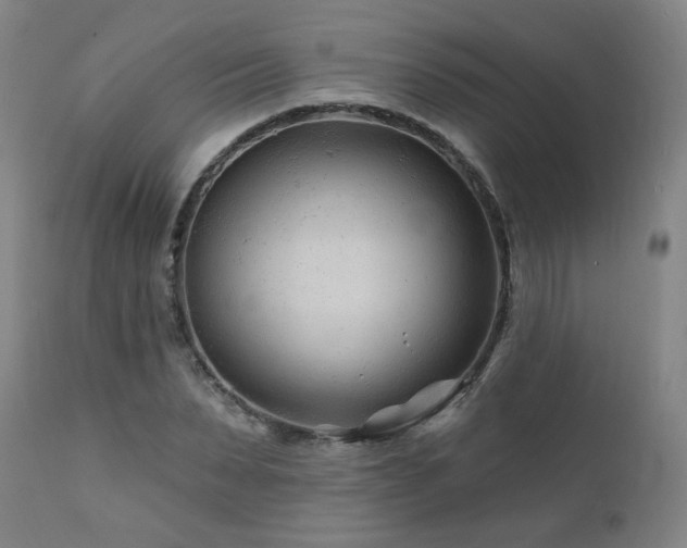 X0000112060879200908041212