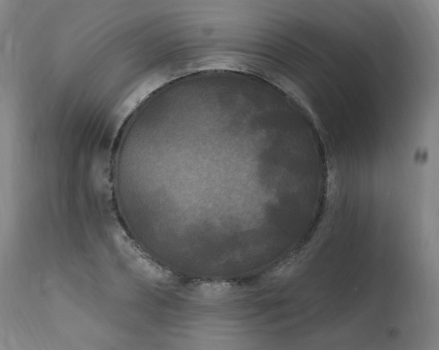 X0000112060882200908041212
