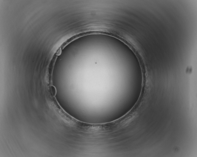 X0000112060883200908041212