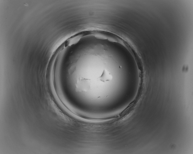 X0000112060885200908041212