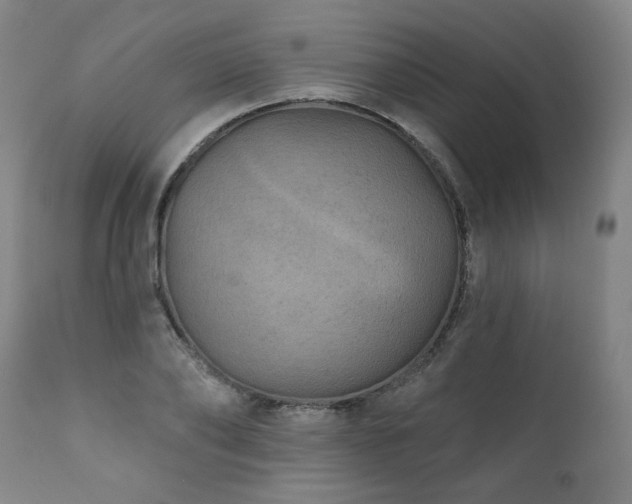X0000112060886200908041212