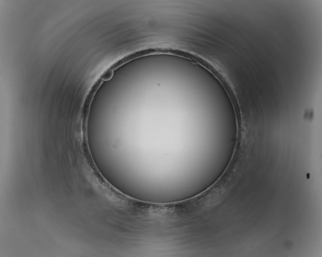 X0000112060887200908041212