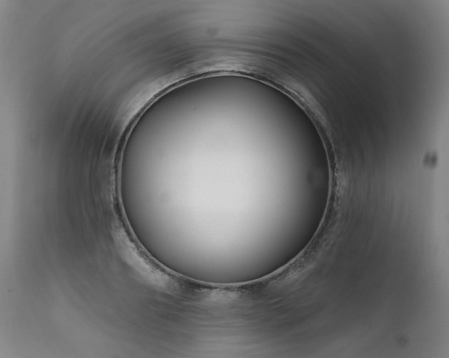 X0000112060890200908041212